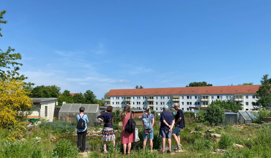 Foto: NABU Freiberg