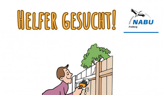 Foto: NABU Freiberg