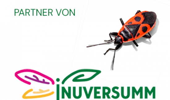 Foto: INUVERSUM