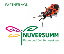 Foto: INUVERSUM
