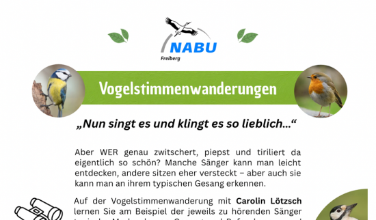 Foto: NABU Freiberg
