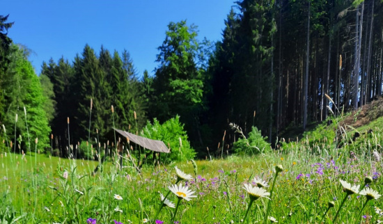 Foto: Andreas Püwert