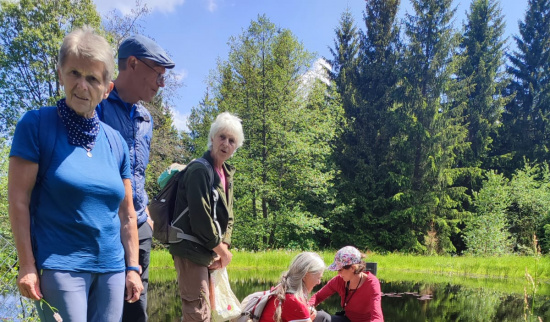 Foto: Dorothea Hoheisel, NABU Freiberg