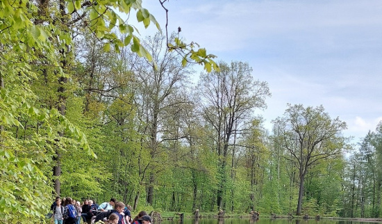 Foto: Dorothea Hoheisel, NABU Freiberg