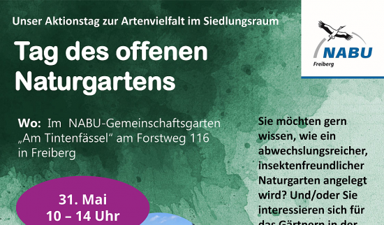 Foto: NABU Freiberg