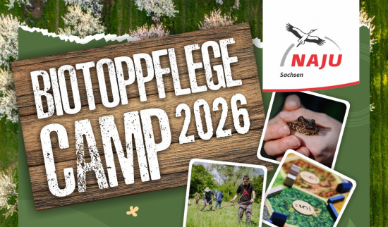 Foto: NAJU Sachsen